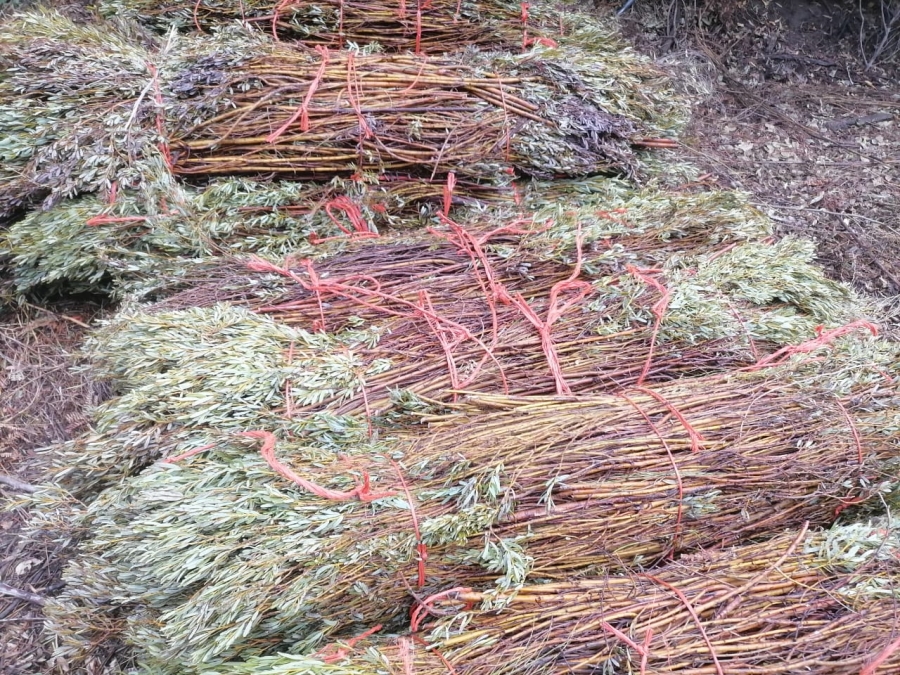 3 Bedroom Property for Sale in Joubertina Eastern Cape